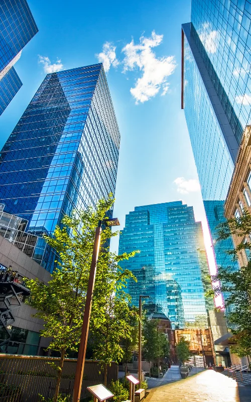 Edmonton SEO Package Photo 4