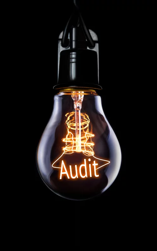 Edmonton Website Audit Photo 2